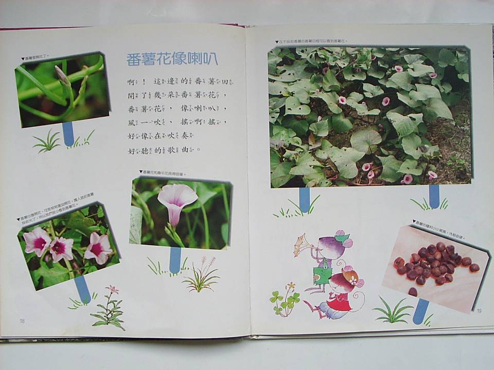 番薯 (10),绘本,绘本故事,绘本阅读,故事书,童书,图画书,课外阅读